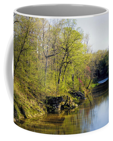 Creek Coffee Mug featuring the photograph Evening Falls on Cedar Creek by Cricket Hackmann