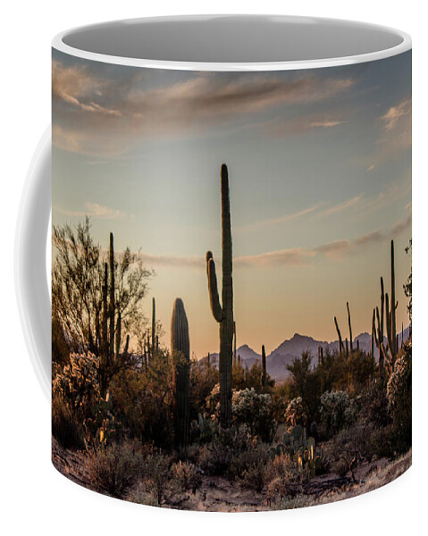 Landscape Coffee Mug featuring the photograph Evening in the Desert by Teresa Wilson