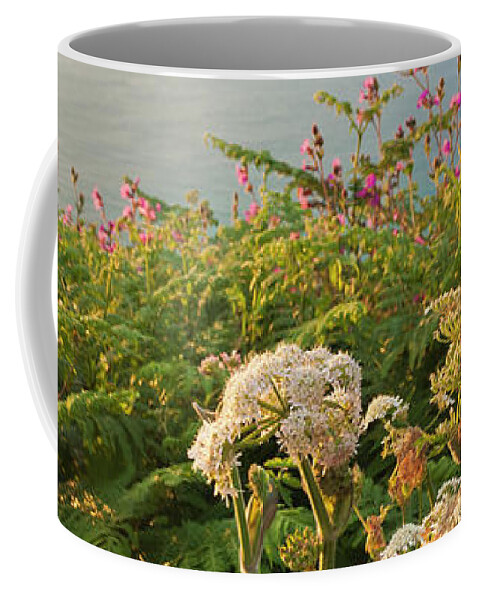 Cornwall Coffee Mug featuring the photograph Evening Light in Cornwall by Terri Waters