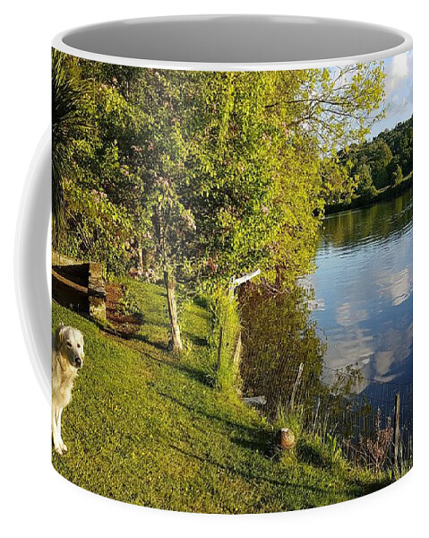 Dog Coffee Mug featuring the photograph Evening Stroll by Rowena Tutty