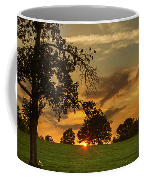 Brixton Coffee Mug featuring the photograph Evening Sun over Brockwell Park by Lenny Carter