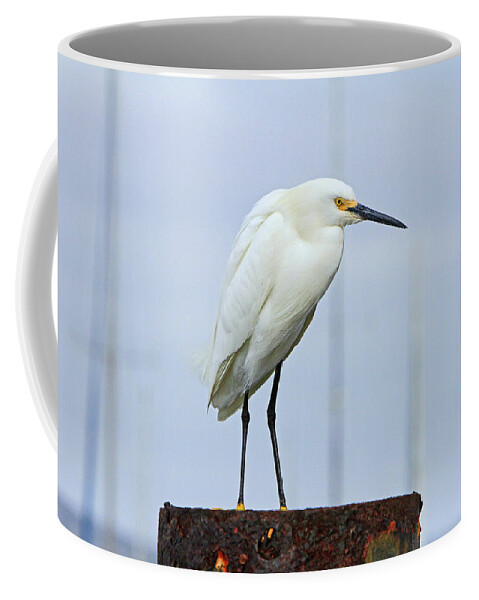 Egret Coffee Mug featuring the photograph Ever Watchful by Shoal Hollingsworth