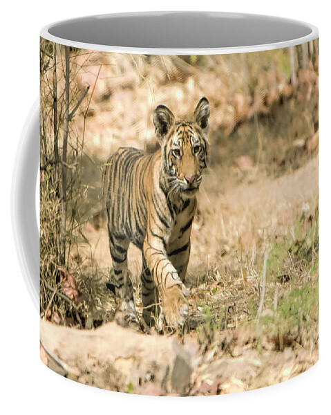 Tiger Coffee Mug featuring the photograph Exploring by Pravine Chester