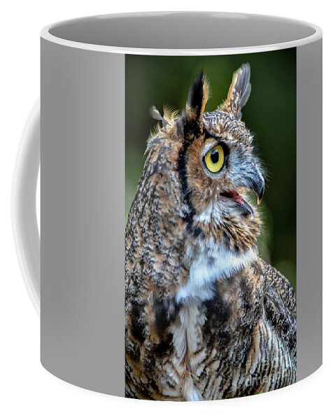 Great Horned Owl Coffee Mug featuring the photograph Expressive by Amy Porter