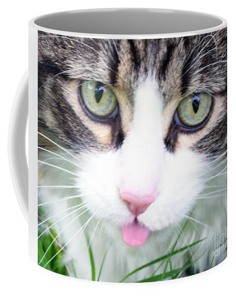 Photo Coffee Mug featuring the photograph Expressive Maine Coon Photo A6217 by Mas Art Studio