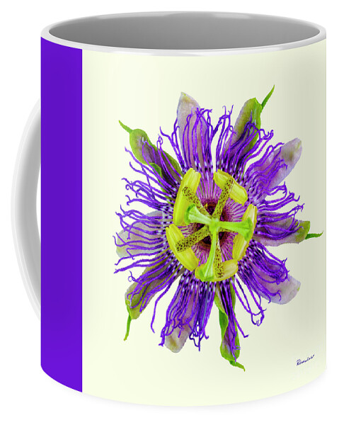 Expressive Coffee Mug featuring the photograph Expressive Yellow Green and Violet Passion Flower 50674Y by Ricardos Creations