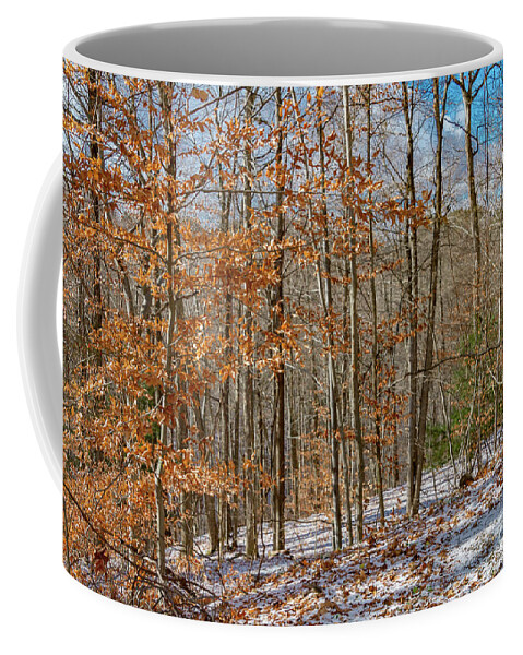 Rental Coffee Mug featuring the photograph Exterior 41 by William Norton