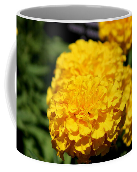 Golden Yellow Coffee Mug featuring the photograph Eye on the Gold by Colleen Cornelius