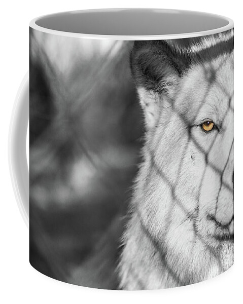 Wolf Coffee Mug featuring the photograph Eye on You by Kristopher Schoenleber