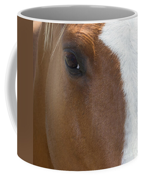 Eye Coffee Mug featuring the photograph Eye on You Horse by Roberta Byram