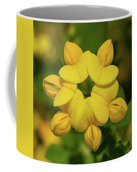 Yellow Coffee Mug featuring the photograph Fabaceae Circle by Paul Rebmann
