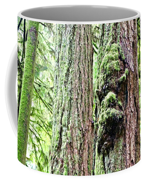  Coffee Mug featuring the photograph Faces in the Trees by Brian Sereda
