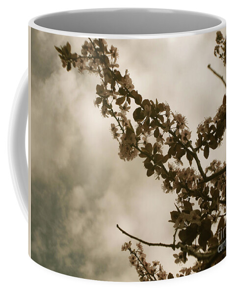 Cherry Blossoms Coffee Mug featuring the photograph Faded Blooms by Onedayoneimage Photography
