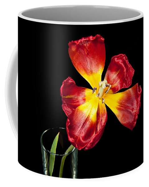 Black Coffee Mug featuring the photograph Fading Beauty by Helen Jackson