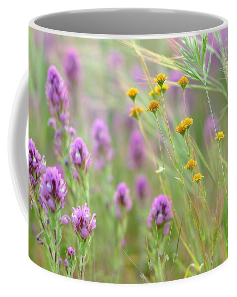 Goldfields Coffee Mug featuring the photograph Fairing of Spring by Parrish Todd