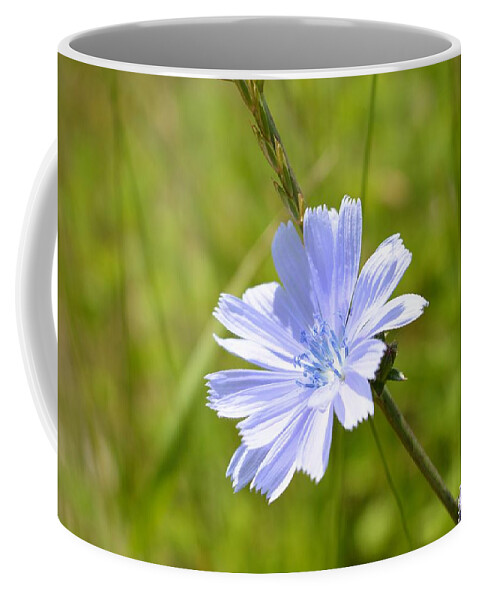  Coffee Mug featuring the photograph Fairy Dust Origin by Dani McEvoy