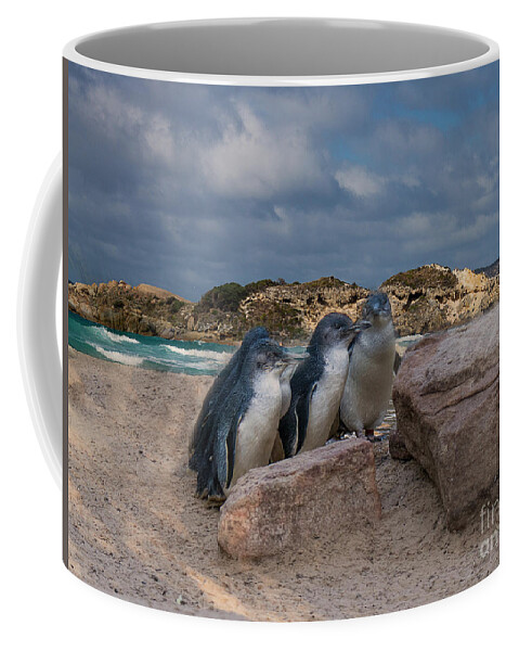 Fairy Penguins Coffee Mug featuring the photograph Fairy Penguins by Elaine Teague