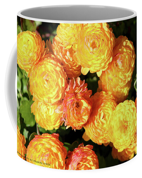 Mums Coffee Mug featuring the photograph Fall 2016 Series no. 1 by Verana Stark