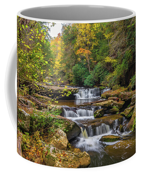 2017-10-29 Coffee Mug featuring the photograph Fall at Bark Camp creek by Ulrich Burkhalter