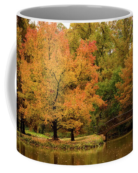 Jay Stockhaus Coffee Mug featuring the photograph Fall at the Arboretum by Jay Stockhaus