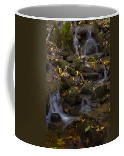 Water Coffee Mug featuring the photograph Fall Cascades by Ellen Heaverlo