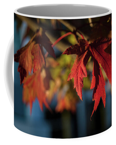 Scenic Coffee Mug featuring the photograph Fall Color 5528 18 by M K Miller