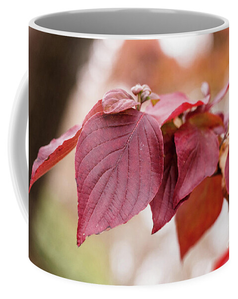 Scenic Coffee Mug featuring the photograph Fall Color 5528 51 by M K Miller