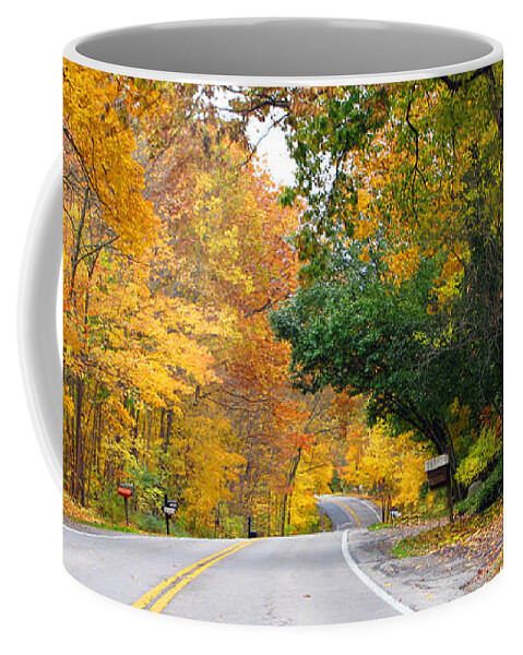 Fall Color Coffee Mug featuring the photograph Fall Color Along Road 5643 by Jack Schultz