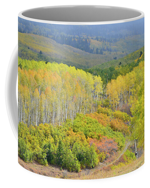 Colorado Coffee Mug featuring the photograph Fall Color Comes to Last Dollar Road by Ray Mathis