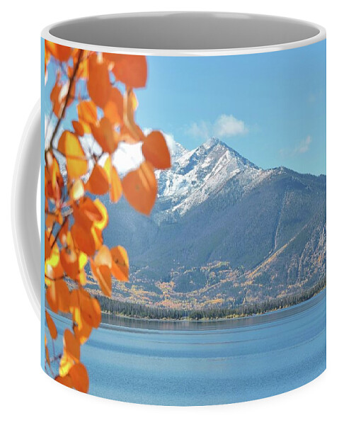 Rocky Mountains Coffee Mug featuring the photograph Fall Color in the Rockies by Connor Beekman