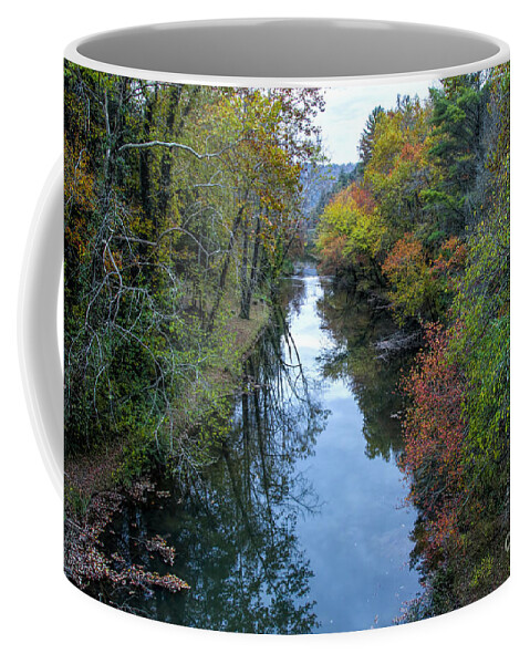 Fall Coffee Mug featuring the photograph Fall Colors along the Tallulah River by Barbara Bowen