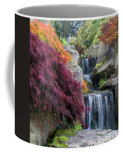 Landscape Coffee Mug featuring the photograph Fall Colors ll by Shirley Mitchell