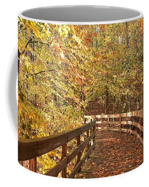 Fall Coffee Mug featuring the photograph Fall Colors on a Morning Walk in the Woods in Autumn by Scott H Phillips