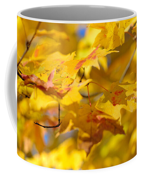 Nature Coffee Mug featuring the photograph Fall Colors by Sebastian Musial