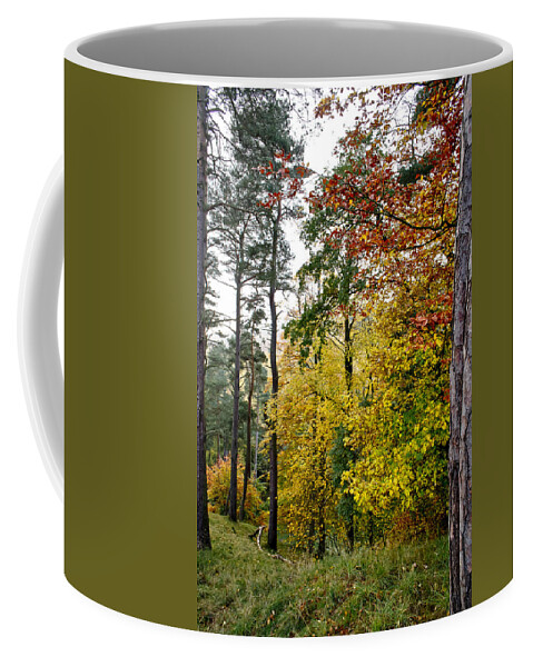 Fall Coffee Mug featuring the photograph Fall colours of Pentland Hills. by Elena Perelman