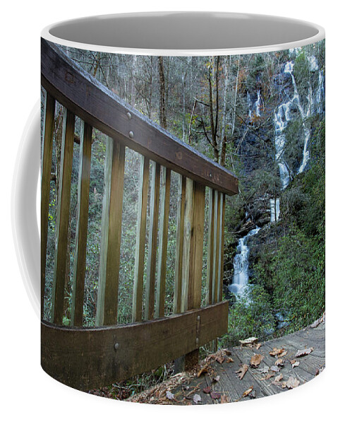North Georgia Coffee Mug featuring the photograph Fall Falls by Dillon Kalkhurst