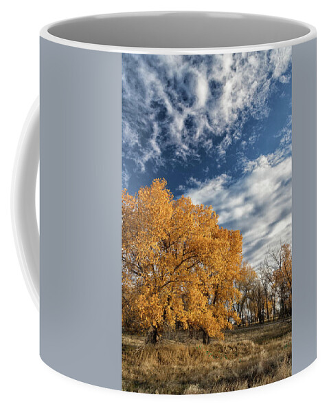 Fall Foliage Coffee Mug featuring the photograph Fall Foliage and Beautiful Blue Skies by Tony Hake