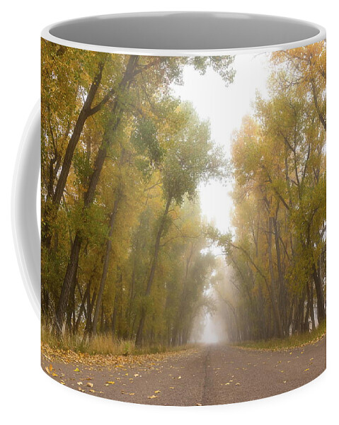 Fall Foliage Coffee Mug featuring the photograph Fall Foliage Lines a Foggy Road by Tony Hake