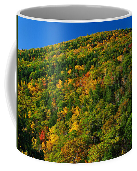 Landscape Coffee Mug featuring the photograph Fall Foliage Photography by Juergen Roth