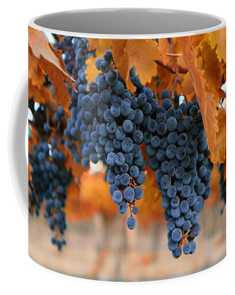Fall Grapes Fall Colors Coffee Mug featuring the photograph Fall grapes Fall colors by Lynn Hopwood