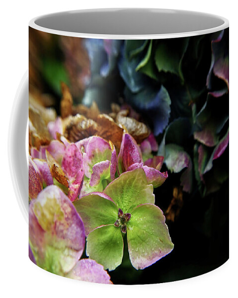 Adria Trail Coffee Mug featuring the photograph Fall Hydrangea by Adria Trail