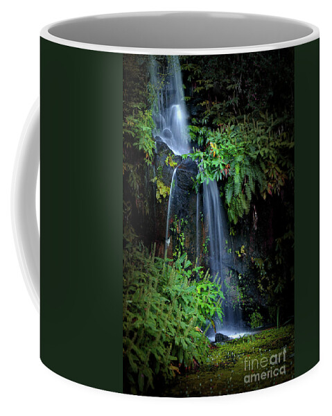 Autumn Coffee Mug featuring the photograph Fall in Eden by Carlos Caetano