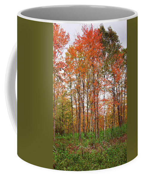Fall Landscape Portrait Coffee Mug featuring the photograph Fall Landscape Portrait by Gwen Gibson