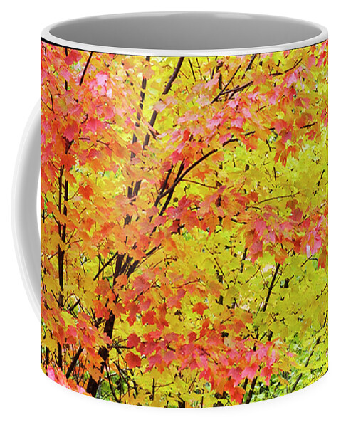 Autumn Coffee Mug featuring the photograph Fall Leaves by Peggy Dietz