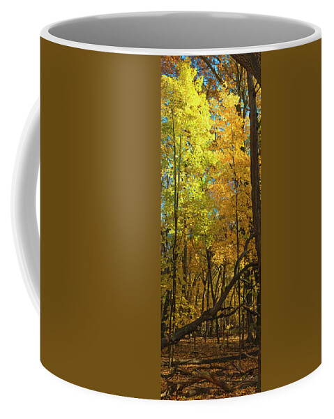 Arboretum Coffee Mug featuring the photograph Fall maples- UW Arboretum - Madison - Wisconsin by Steven Ralser