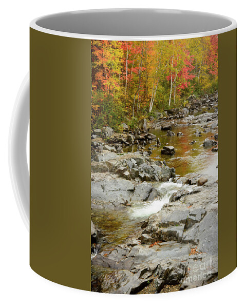 Maine Coffee Mug featuring the photograph Fall on the Carrabassett River by Alana Ranney