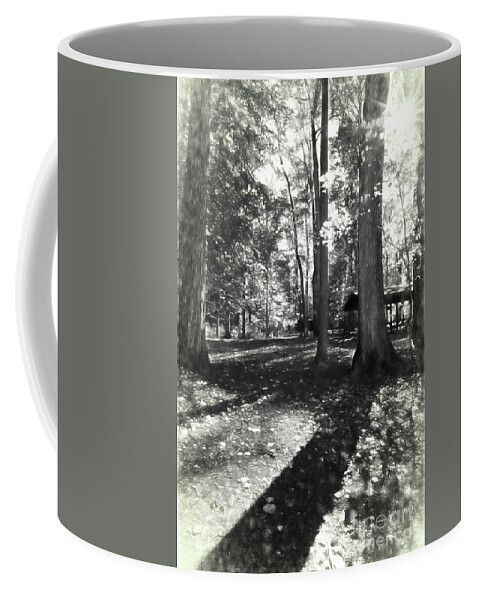 Fall Coffee Mug featuring the photograph Fall Picnic Bw Painted by Judy Wolinsky