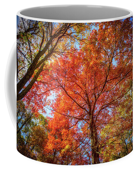 Landscape Coffee Mug featuring the photograph Fall Red by Joe Shrader