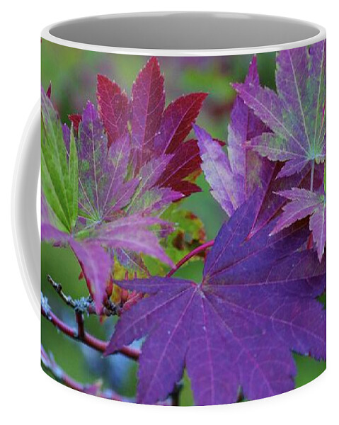 Fall Coffee Mug featuring the photograph Fall Spectacle by Emerita Wheeling
