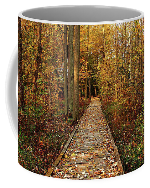 Boardwalk Coffee Mug featuring the photograph Fall Walk by Debbie Oppermann
